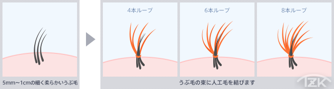 うぶ毛結束増毛技術師